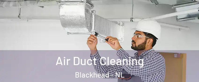  Air Duct Cleaning Blackhead - NL