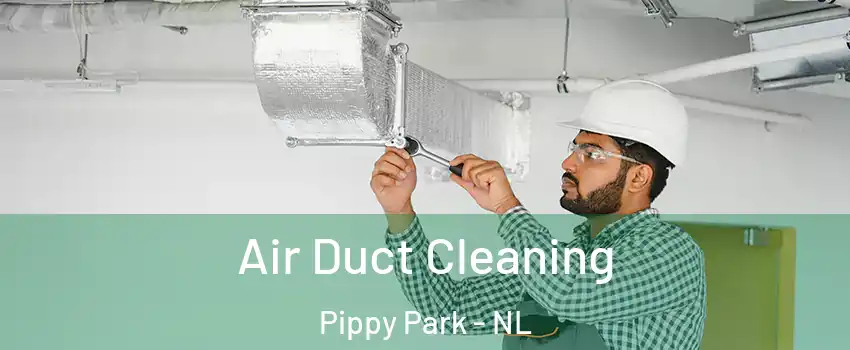  Air Duct Cleaning Pippy Park - NL