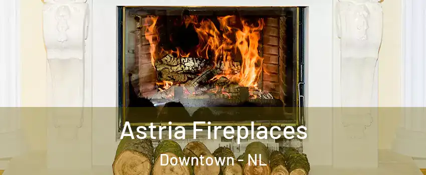  Astria Fireplaces Downtown - NL