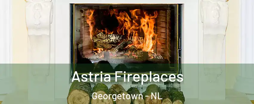  Astria Fireplaces Georgetown - NL