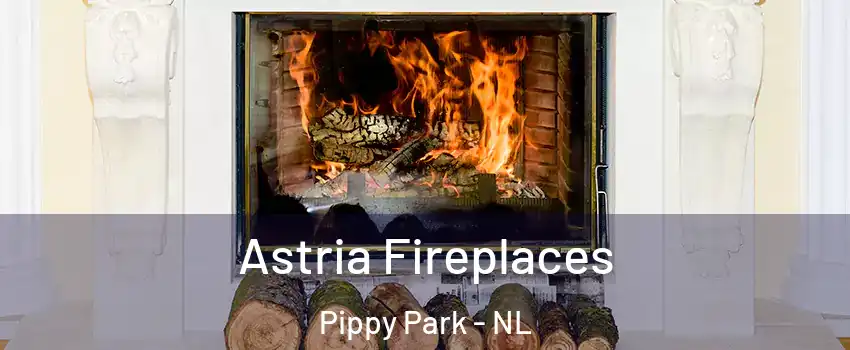  Astria Fireplaces Pippy Park - NL