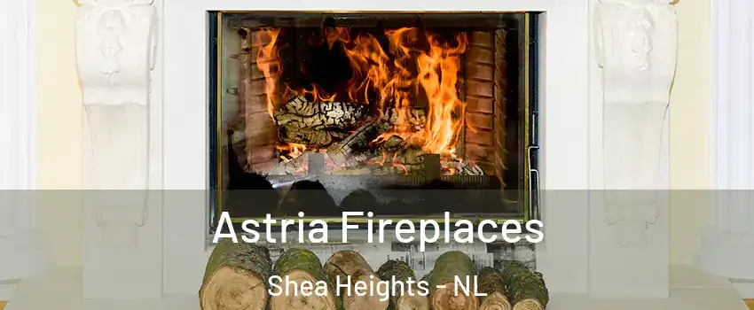  Astria Fireplaces Shea Heights - NL