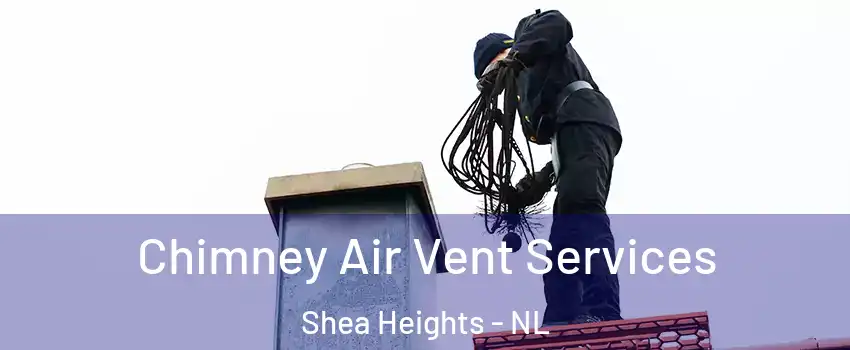  Chimney Air Vent Services Shea Heights - NL