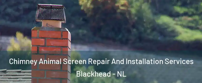 Chimney Animal Screen Repair And Installation Services Blackhead - NL