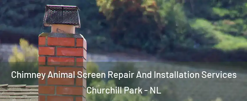  Chimney Animal Screen Repair And Installation Services Churchill Park - NL