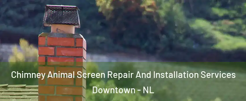  Chimney Animal Screen Repair And Installation Services Downtown - NL