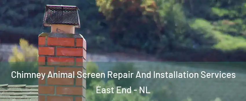  Chimney Animal Screen Repair And Installation Services East End - NL