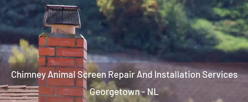  Chimney Animal Screen Repair And Installation Services Georgetown - NL