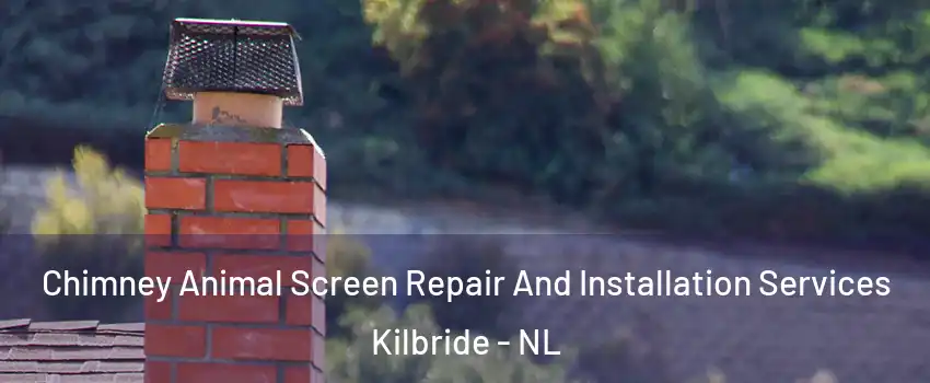  Chimney Animal Screen Repair And Installation Services Kilbride - NL