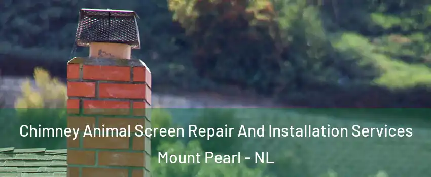  Chimney Animal Screen Repair And Installation Services Mount Pearl - NL