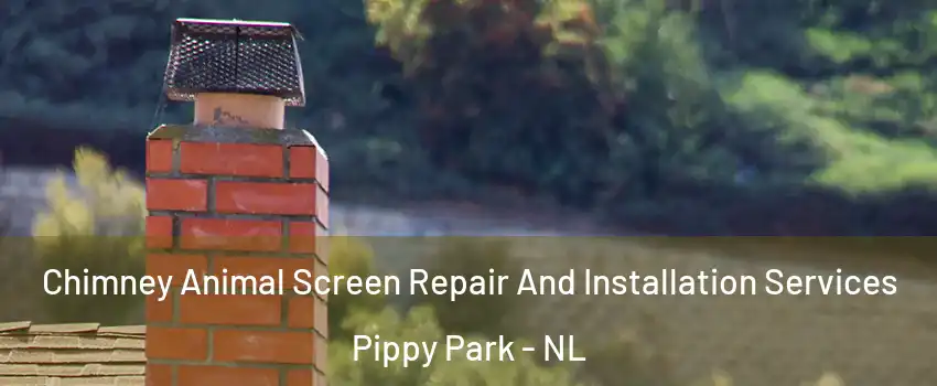  Chimney Animal Screen Repair And Installation Services Pippy Park - NL