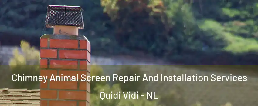  Chimney Animal Screen Repair And Installation Services Quidi Vidi - NL