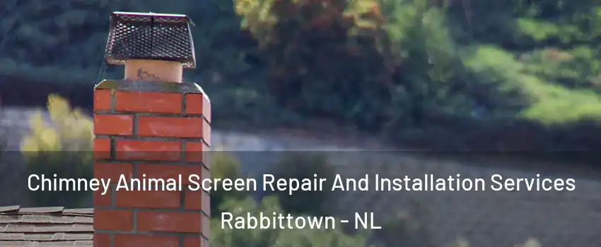  Chimney Animal Screen Repair And Installation Services Rabbittown - NL
