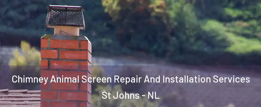 Chimney Animal Screen Repair And Installation Services St Johns - NL
