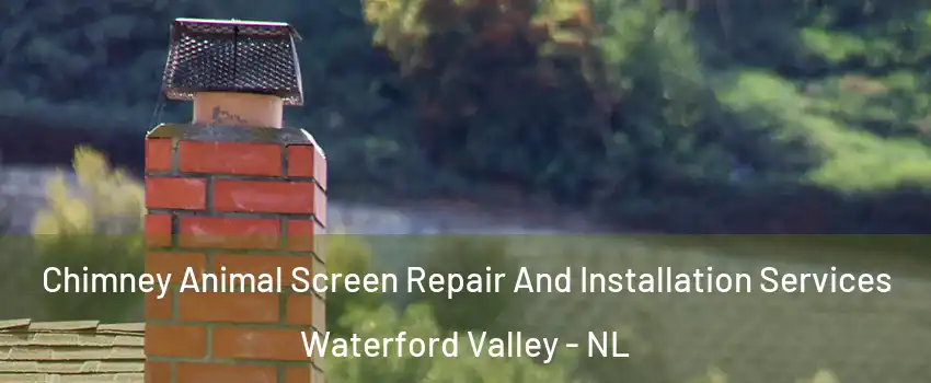  Chimney Animal Screen Repair And Installation Services Waterford Valley - NL