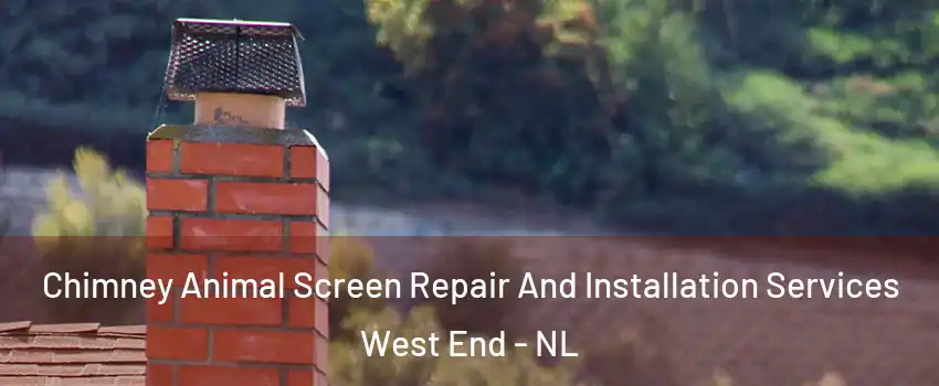  Chimney Animal Screen Repair And Installation Services West End - NL