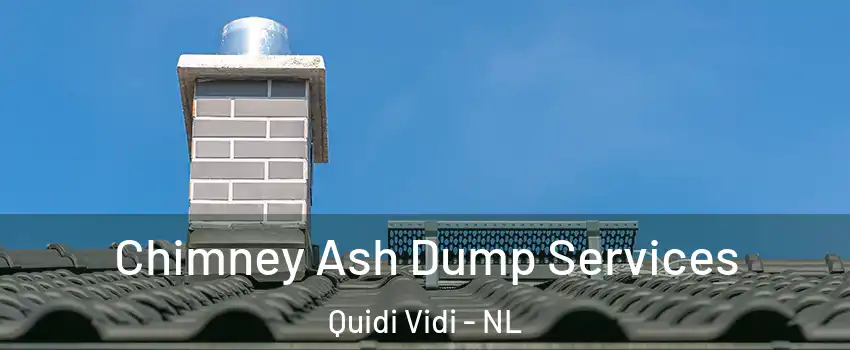  Chimney Ash Dump Services Quidi Vidi - NL