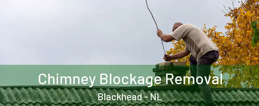  Chimney Blockage Removal Blackhead - NL