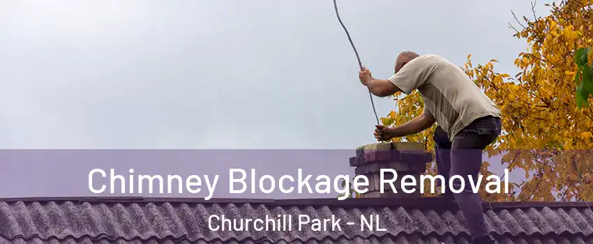  Chimney Blockage Removal Churchill Park - NL