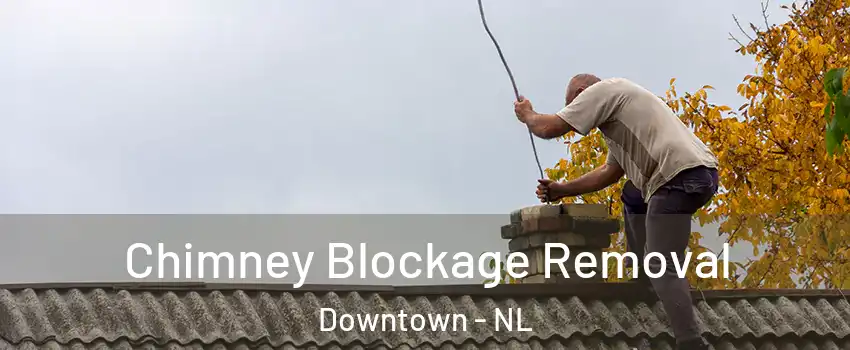  Chimney Blockage Removal Downtown - NL