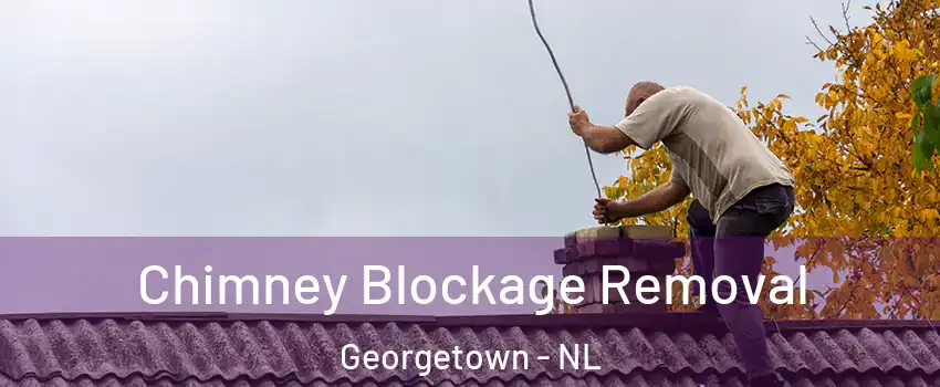 Chimney Blockage Removal Georgetown - NL