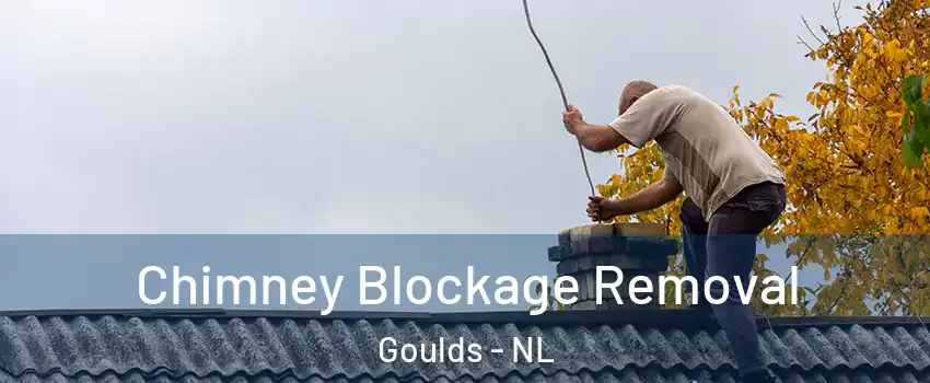  Chimney Blockage Removal Goulds - NL