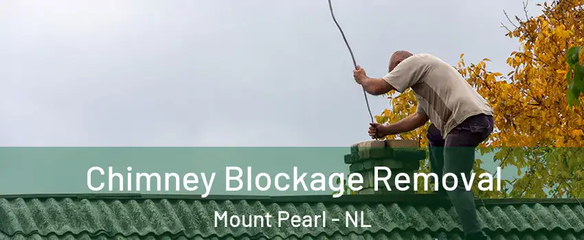  Chimney Blockage Removal Mount Pearl - NL