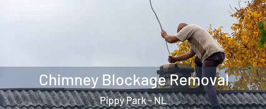  Chimney Blockage Removal Pippy Park - NL