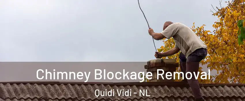  Chimney Blockage Removal Quidi Vidi - NL