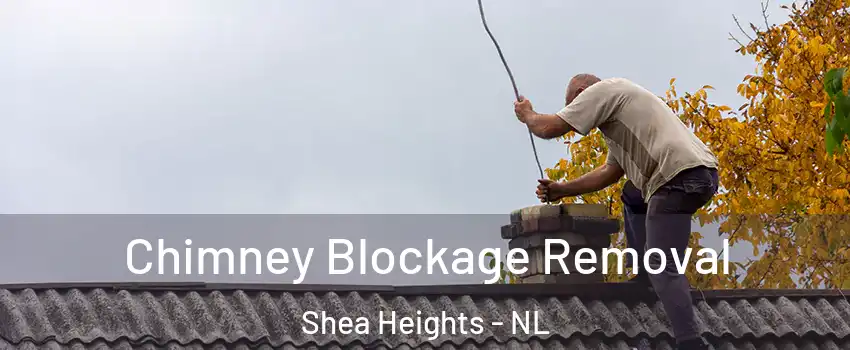  Chimney Blockage Removal Shea Heights - NL