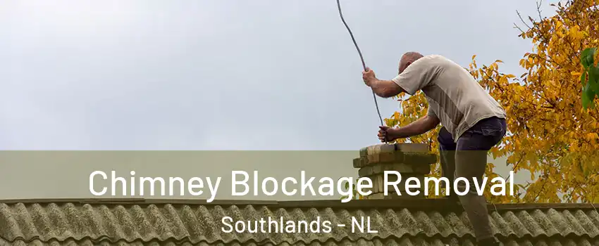  Chimney Blockage Removal Southlands - NL