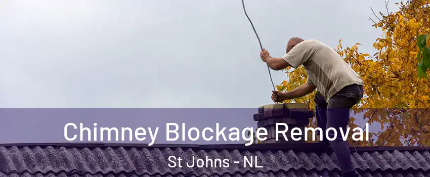  Chimney Blockage Removal St Johns - NL