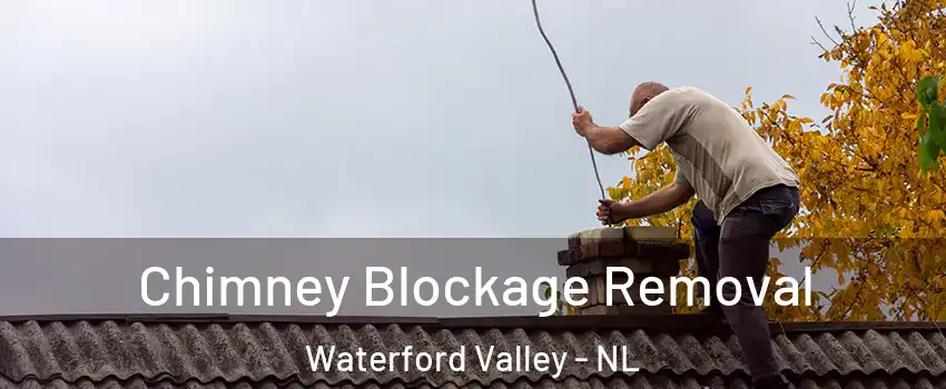  Chimney Blockage Removal Waterford Valley - NL