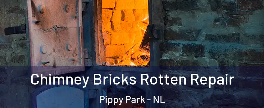  Chimney Bricks Rotten Repair Pippy Park - NL