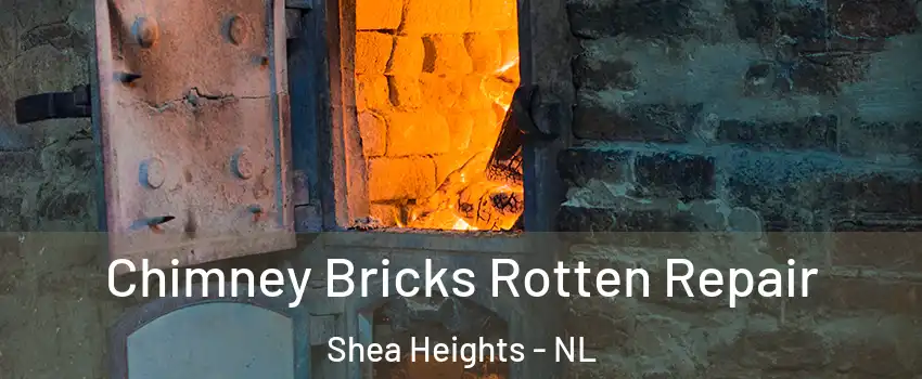  Chimney Bricks Rotten Repair Shea Heights - NL
