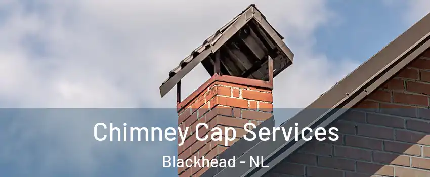  Chimney Cap Services Blackhead - NL