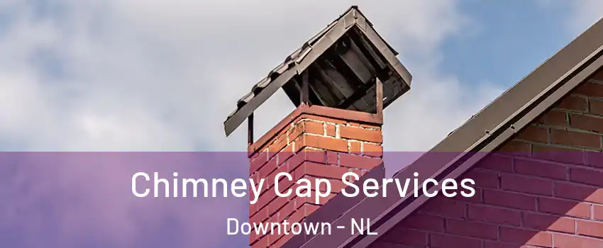  Chimney Cap Services Downtown - NL