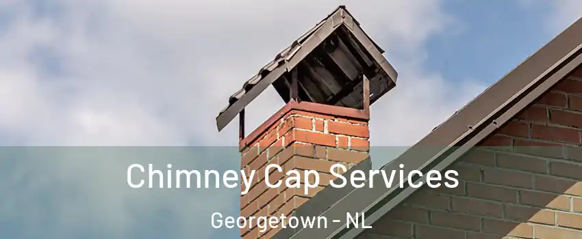  Chimney Cap Services Georgetown - NL