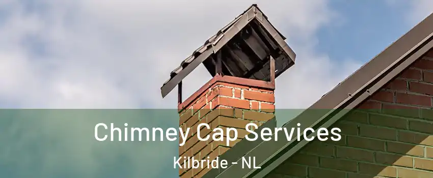  Chimney Cap Services Kilbride - NL
