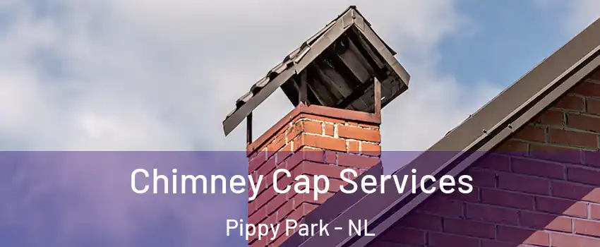  Chimney Cap Services Pippy Park - NL