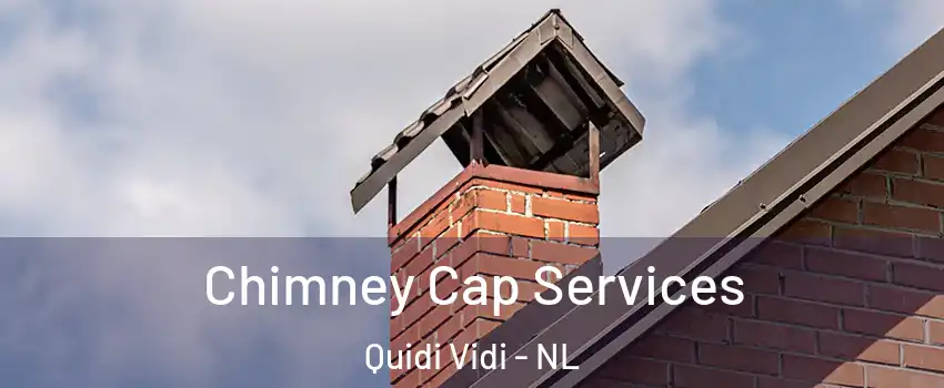  Chimney Cap Services Quidi Vidi - NL