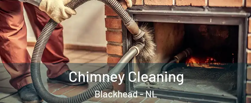  Chimney Cleaning Blackhead - NL