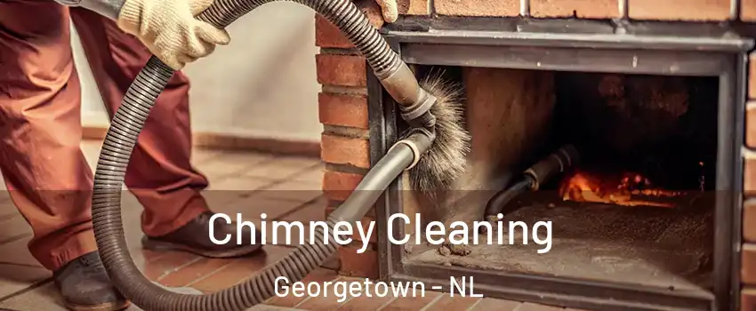  Chimney Cleaning Georgetown - NL