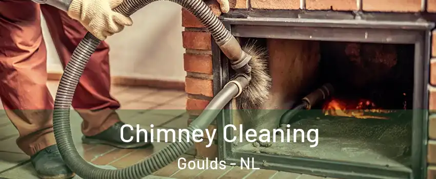  Chimney Cleaning Goulds - NL
