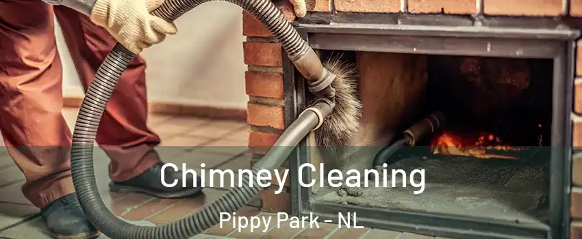  Chimney Cleaning Pippy Park - NL