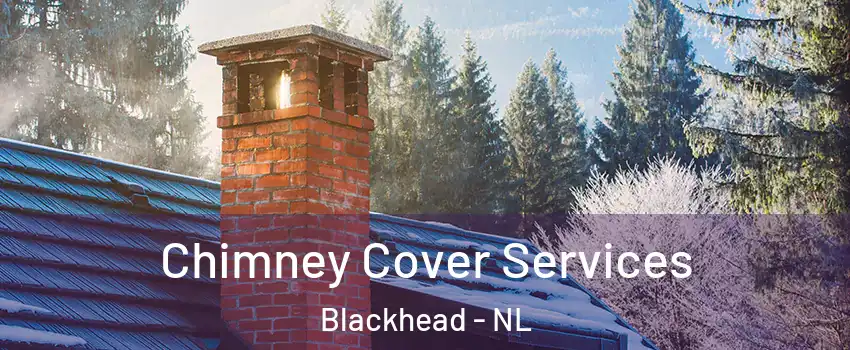  Chimney Cover Services Blackhead - NL