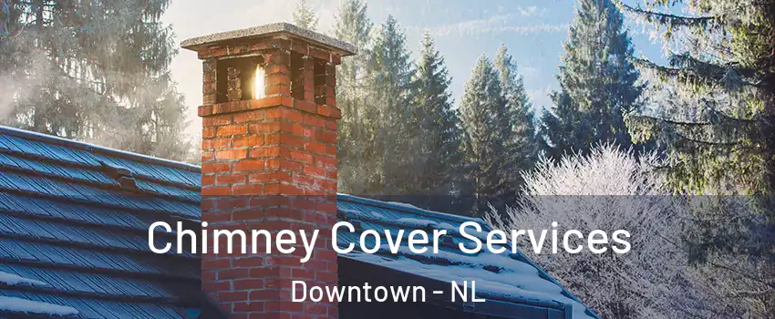  Chimney Cover Services Downtown - NL