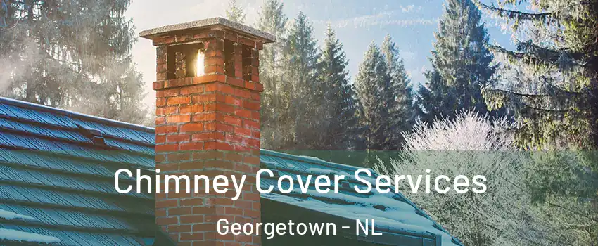  Chimney Cover Services Georgetown - NL