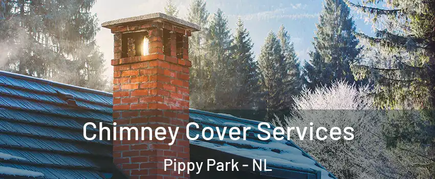  Chimney Cover Services Pippy Park - NL