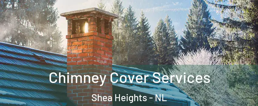  Chimney Cover Services Shea Heights - NL